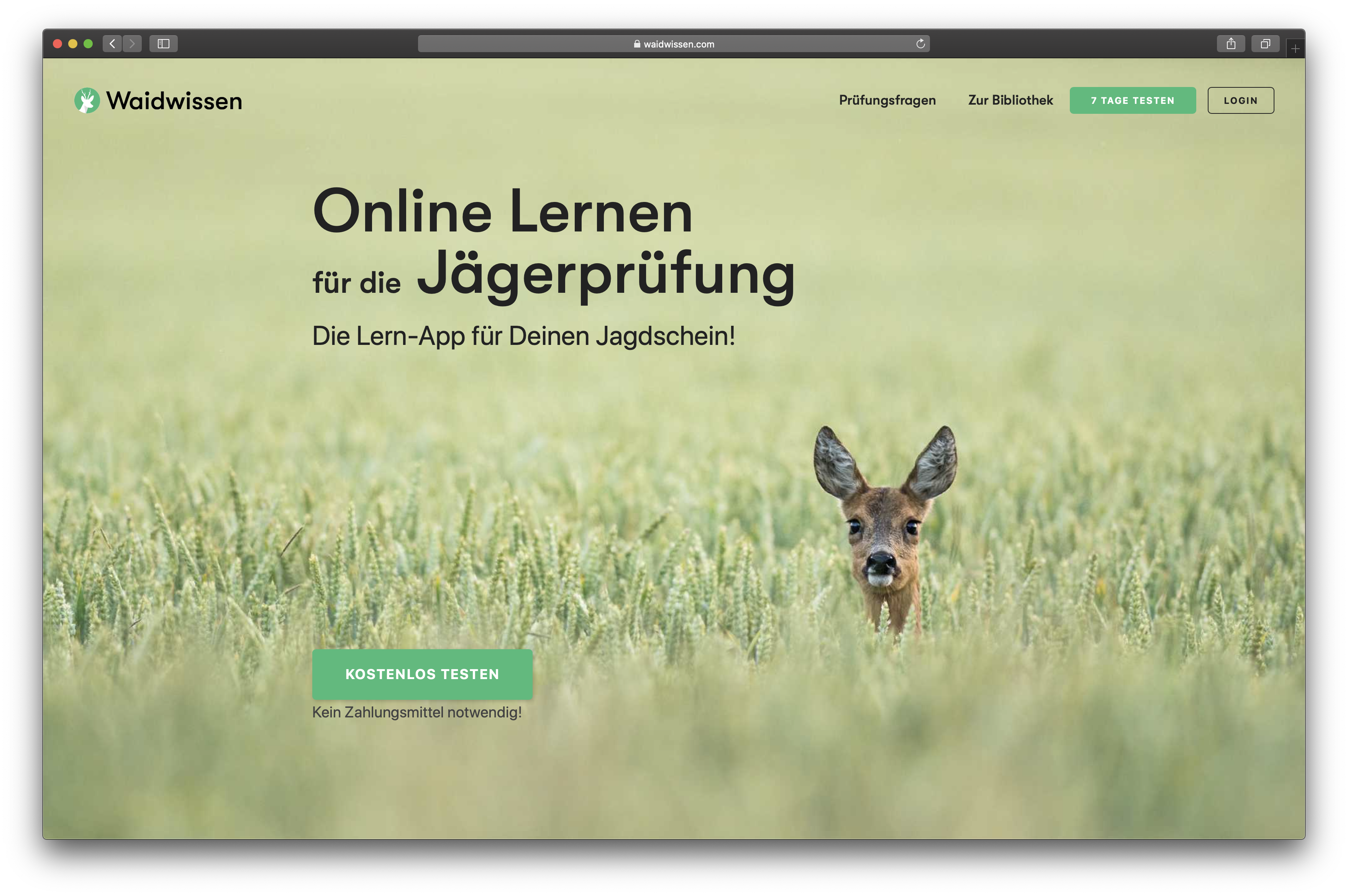 Online Lernen für die Jägerprüfung