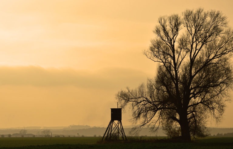 Hochsitz im Sonnenaufgang